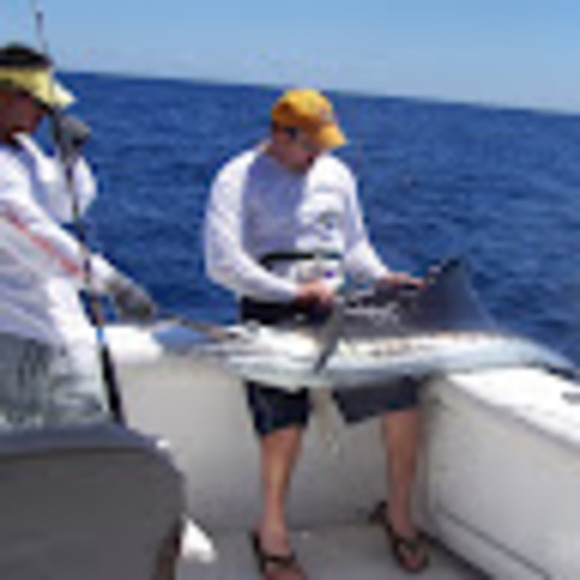 Meet your Posher, Lee - Picture 1 of 1